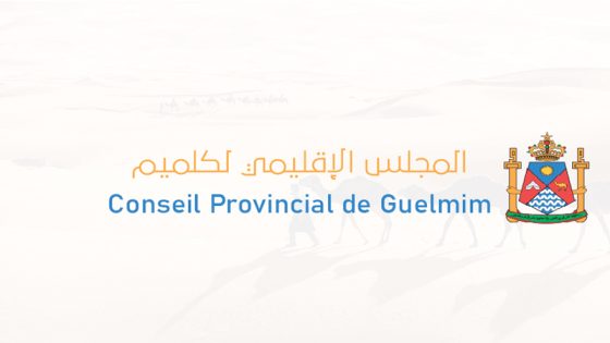 المجلس الإقليمي لكلميم يصادق على إحداث مجموعة الجماعات الترابية “كلميم وادنون للتوزيع”